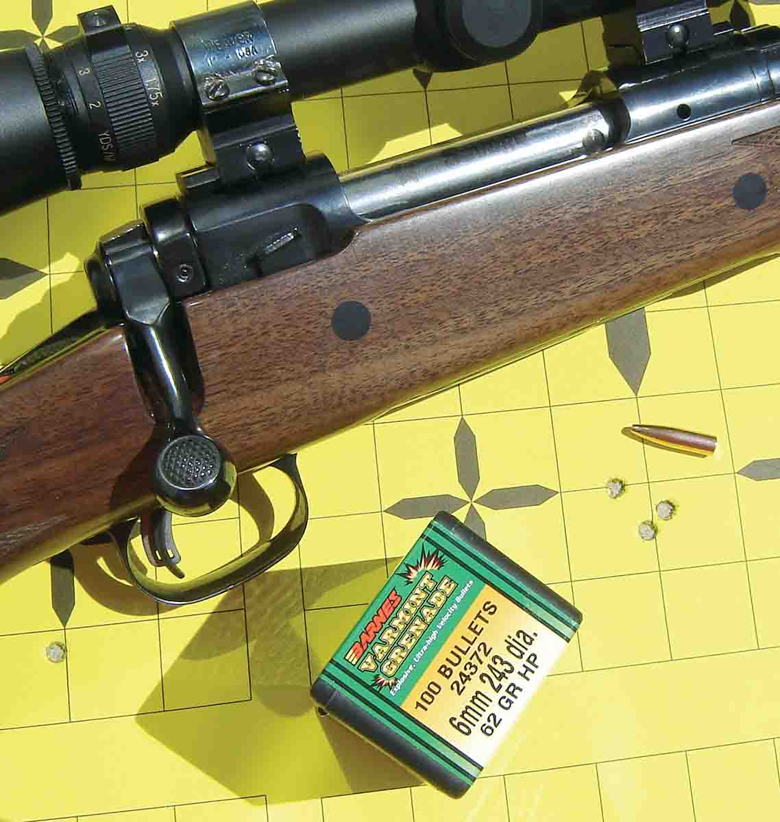 The Savage Classic Model 10 .243 sporter produced .59-inch, 100-yard groups with Varmint Grenade handloads.